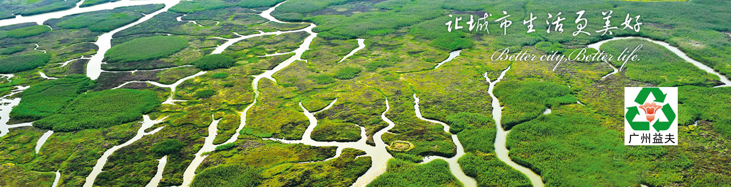 污水電磁流量計(jì)